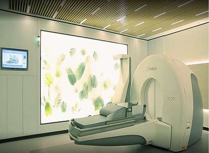 Gamma Knife 